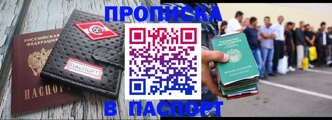 прописка регистрация в Бердске